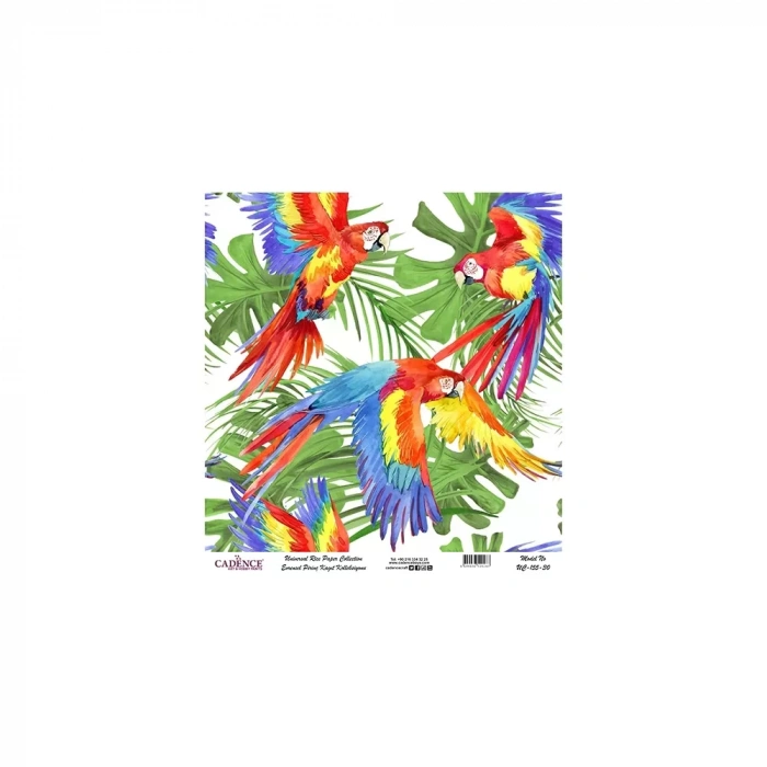 EVRENSEL PİRİNÇ KAĞIT KOLEKSİYON BEYAZ ZEMİN UC-155 30X30