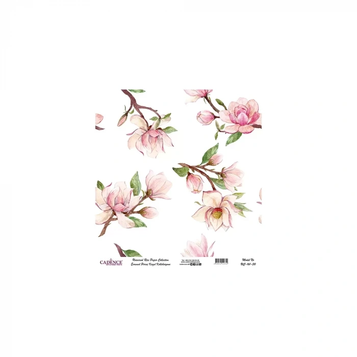 EVRENSEL PİRİNÇ KAĞIT KOLEKSİYON BEYAZ ZEMİN UC-161 30X30