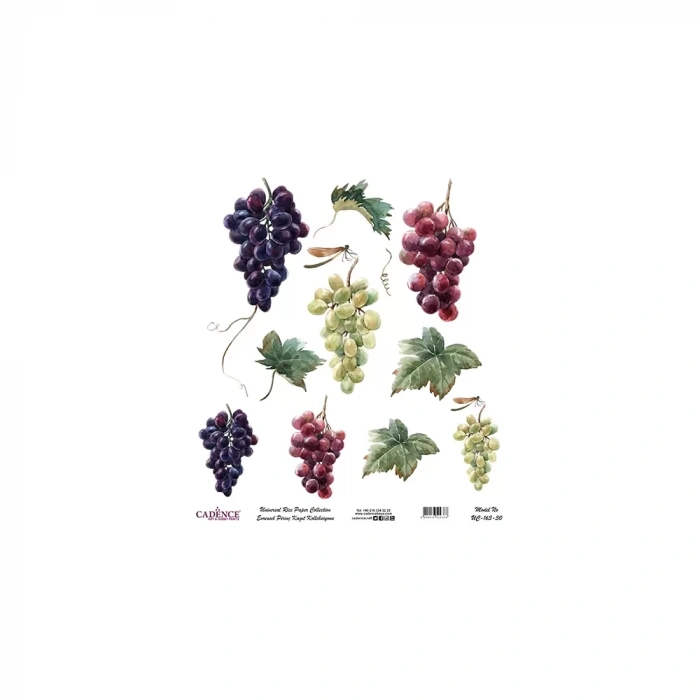 EVRENSEL PİRİNÇ KAĞIT KOLEKSİYON BEYAZ ZEMİN UC-163 30X30