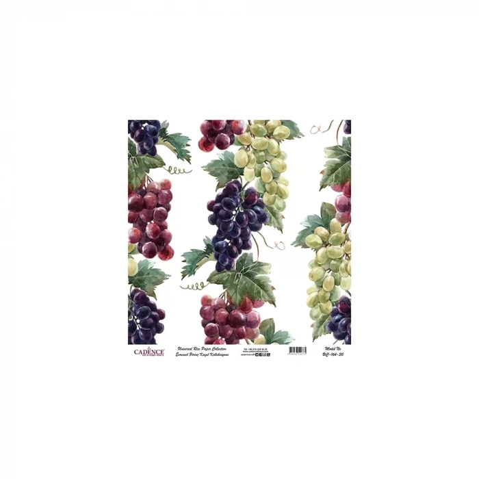 EVRENSEL PİRİNÇ KAĞIT KOLEKSİYON BEYAZ ZEMİN UC-164 30X30