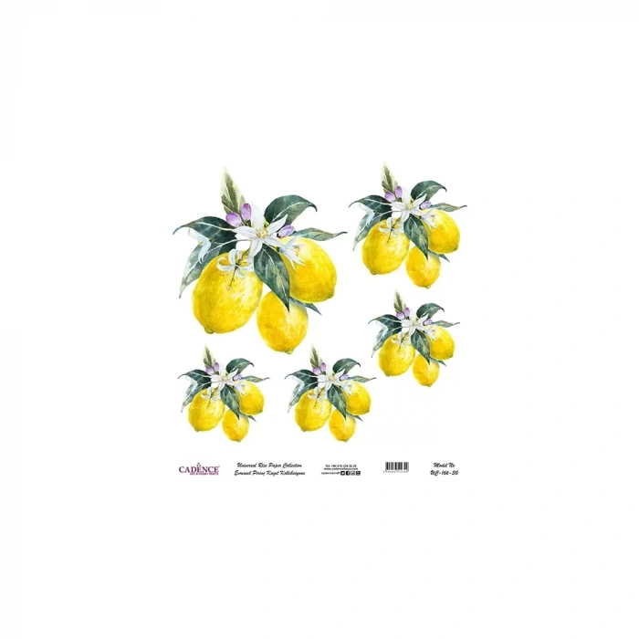 EVRENSEL PİRİNÇ KAĞIT KOLEKSİYON BEYAZ ZEMİN UC-166 30X30