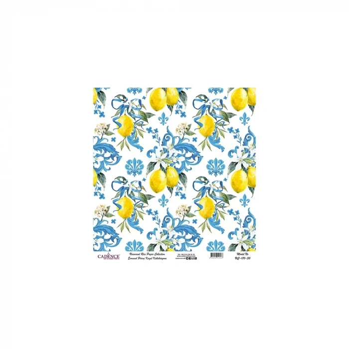 EVRENSEL PİRİNÇ KAĞIT KOLEKSİYON BEYAZ ZEMİN UC-170 30X30