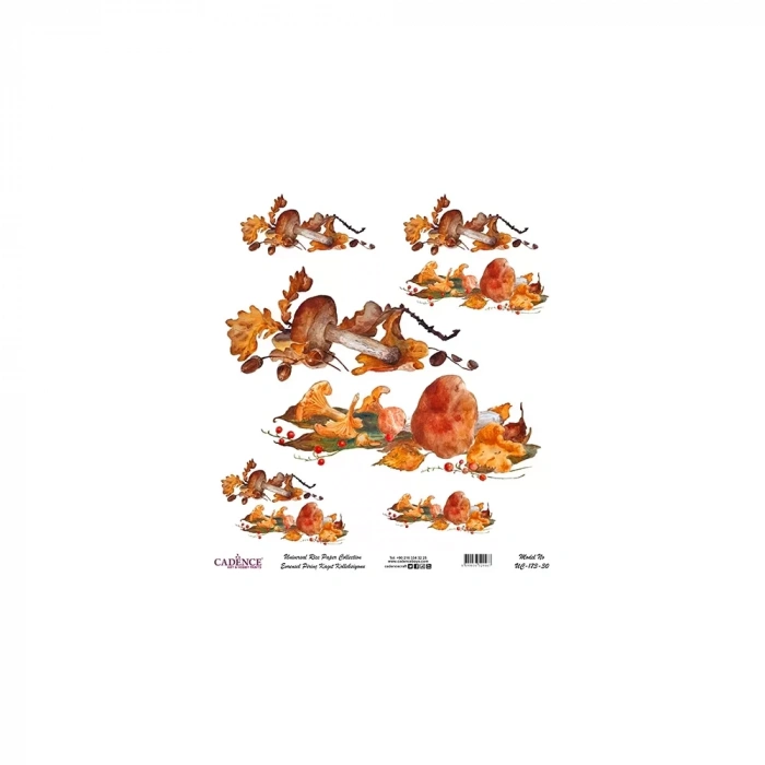 EVRENSEL PİRİNÇ KAĞIT KOLEKSİYON BEYAZ ZEMİN UC-173 30X30