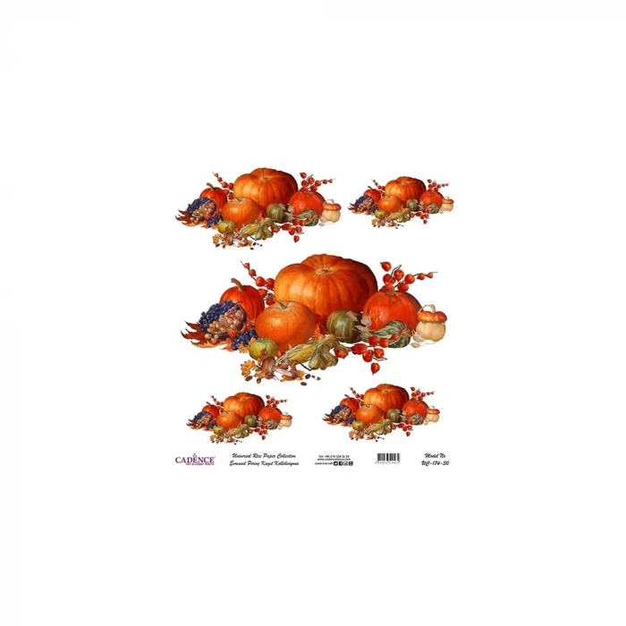 EVRENSEL PİRİNÇ KAĞIT KOLEKSİYON BEYAZ ZEMİN UC-174 30X30