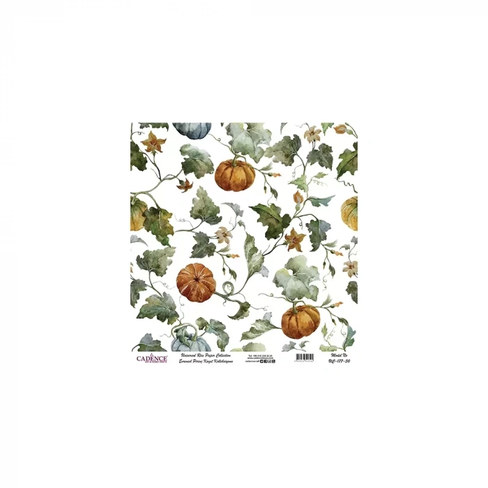 EVRENSEL PİRİNÇ KAĞIT KOLEKSİYON BEYAZ ZEMİN UC-177 30X30