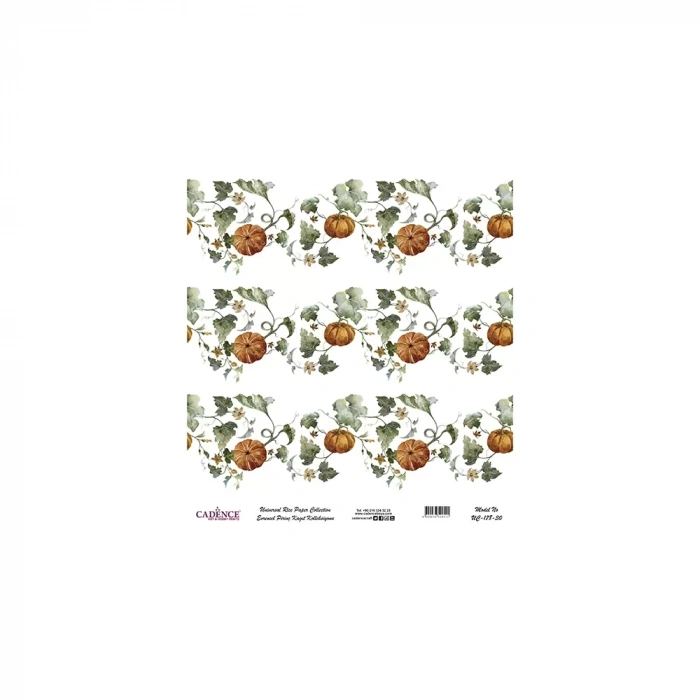 EVRENSEL PİRİNÇ KAĞIT KOLEKSİYON BEYAZ ZEMİN UC-178 30X30