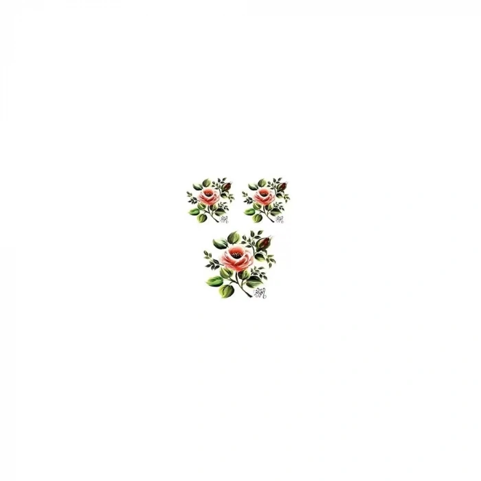 GÜLSÜN ÜLKÜ KOLAY TRANSFER G-04 17X25