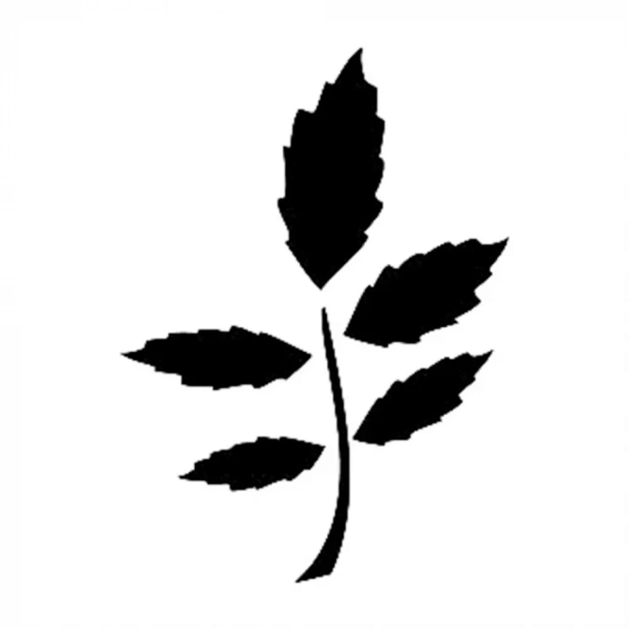 M SERİSİ STENCIL M68 7X10