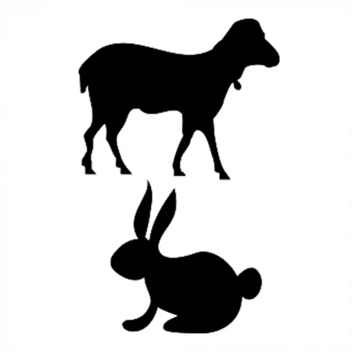 O SERİSİ STENCIL O66 10X15