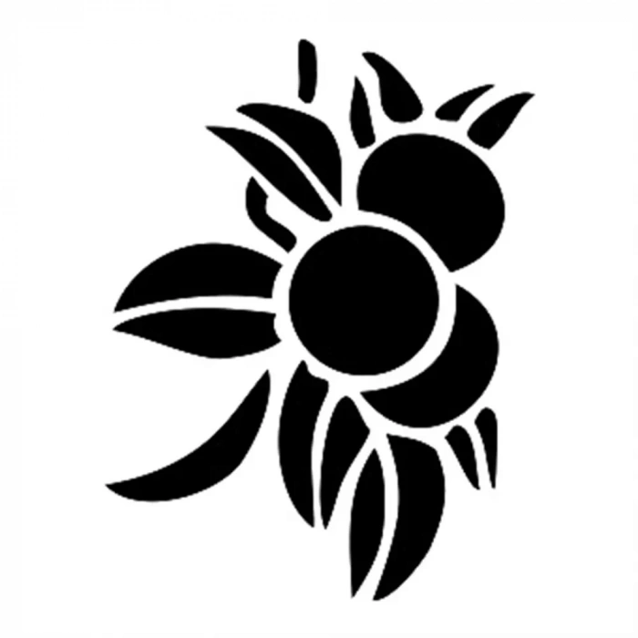 O SERİSİ STENCIL O90 10X15