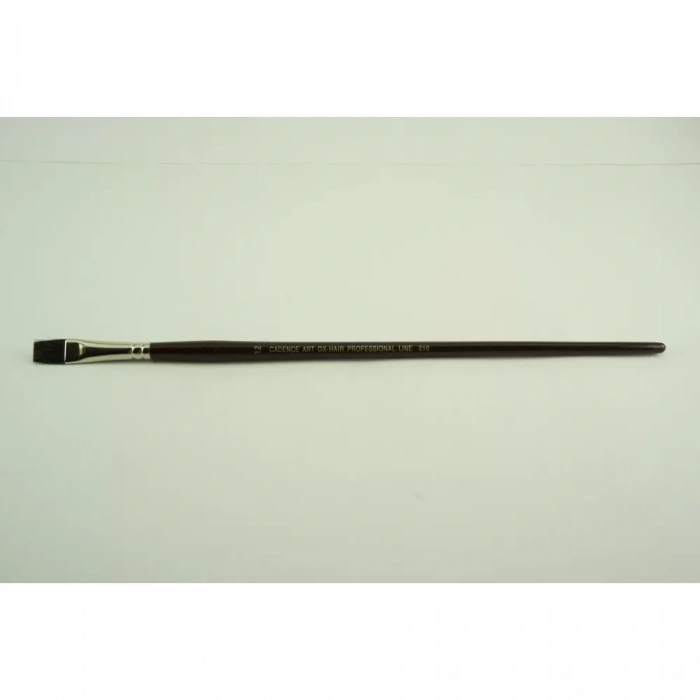 ÖKÜZ KULAĞI TÜYÜ FIRÇA CA-210 NO:12