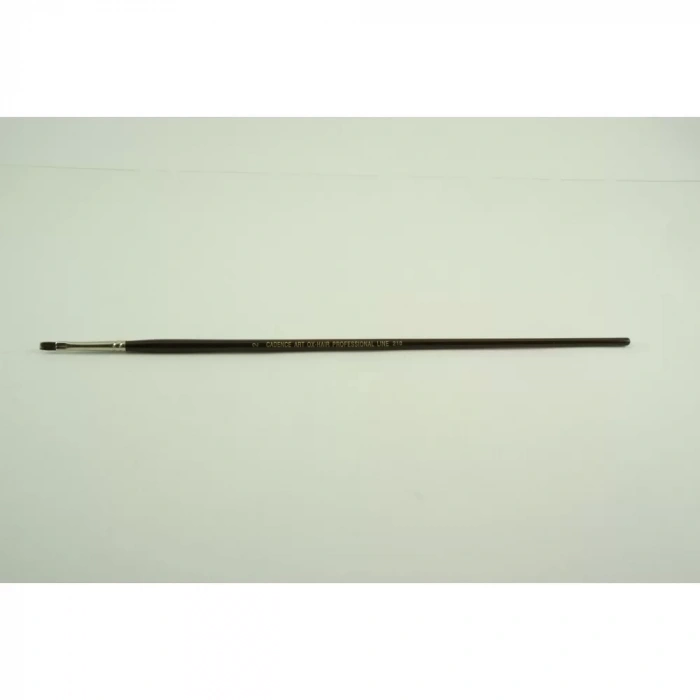 ÖKÜZ KULAĞI TÜYÜ FIRÇA CA-210 NO:2