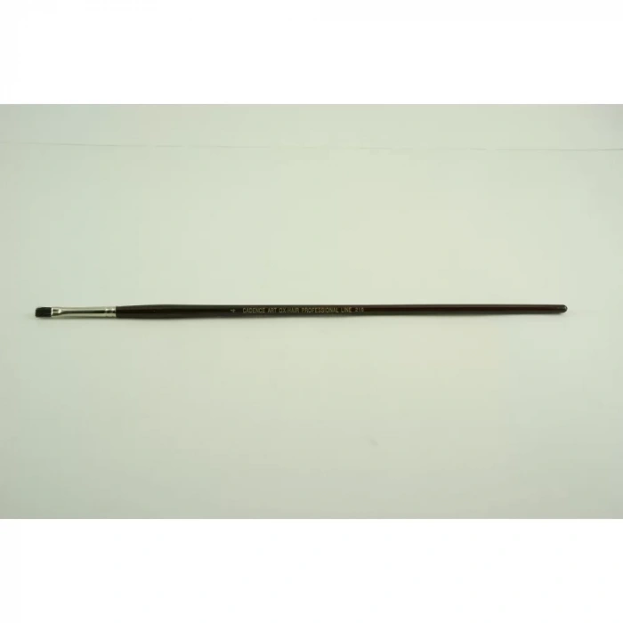 ÖKUZ KULAĞI TÜYÜ FIRÇA CA-210 NO:4