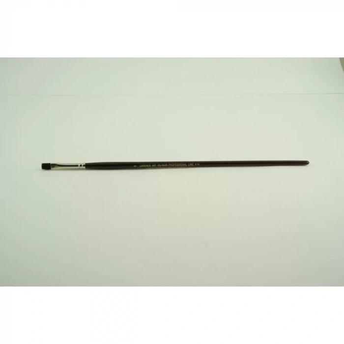 ÖKUZ KULAĞI TÜYÜ FIRÇA CA-210 NO:6