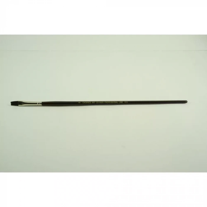 ÖKUZ KULAĞI TÜYÜ FIRÇA CA-210 NO:8