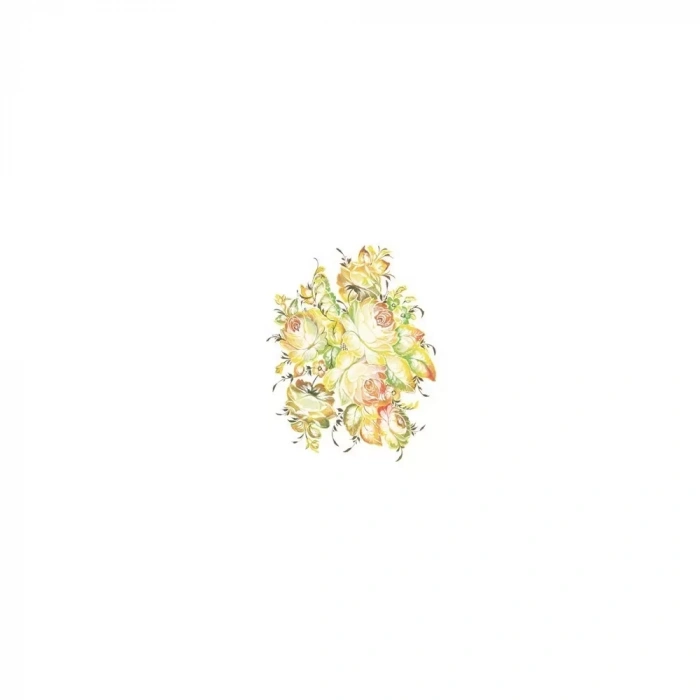 OLEG KULAKOV KOLAY TRANSFER T-26 17X25