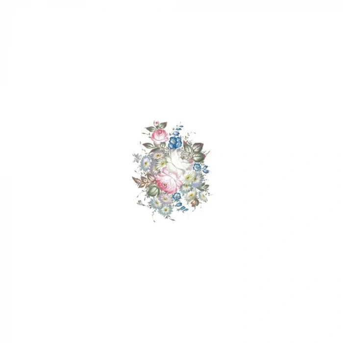 OLEG KULAKOV KOLAY TRANSFER T-33 17X25