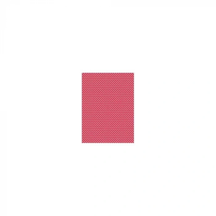 PİRİNÇ KAĞIT MODEL 110 30X42