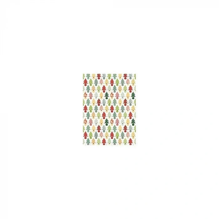 PİRİNÇ KAĞIT MODEL 256 30X42