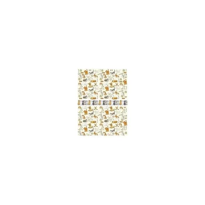 PİRİNÇ KAĞIT MODEL 293 30X42