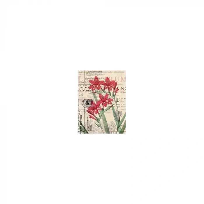 PİRİNÇ KAĞIT MODEL 56 30X42