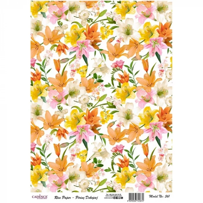 PİRİNÇ KAĞIT MODEL 561 30X42