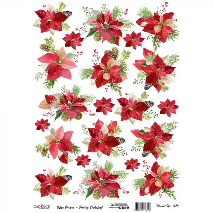 PİRİNÇ KAĞIT MODEL 576 30X42