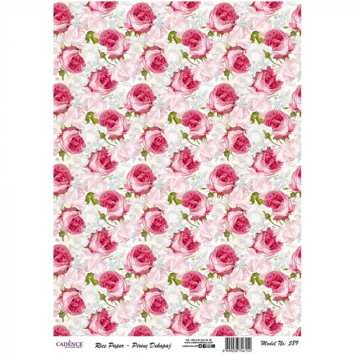 PİRİNÇ KAĞIT MODEL 589 30X42