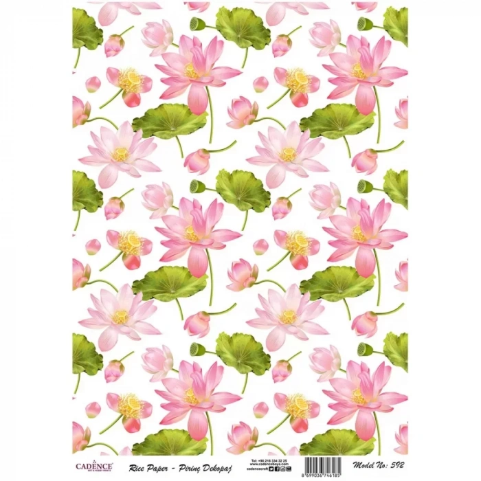 PİRİNÇ KAĞIT MODEL 592 30X42