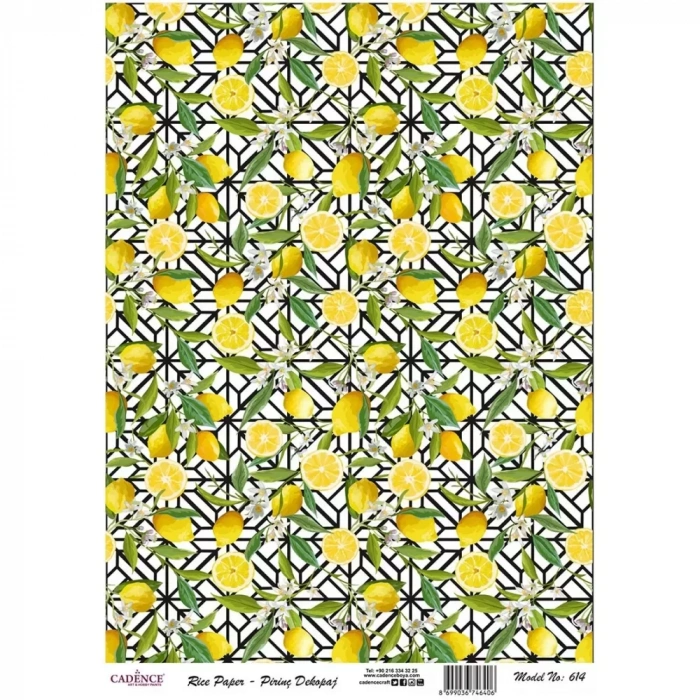 PİRİNÇ KAĞIT MODEL 614 30X42