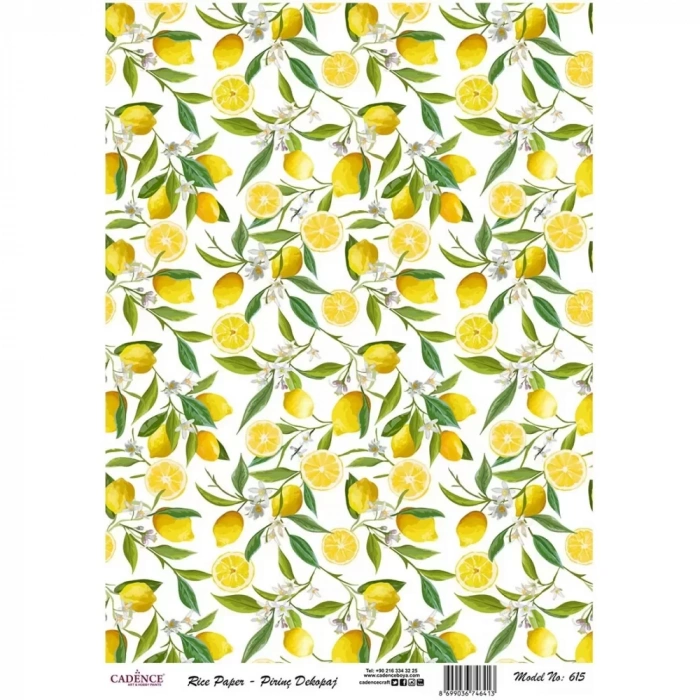 PİRİNÇ KAĞIT MODEL 615 30X42