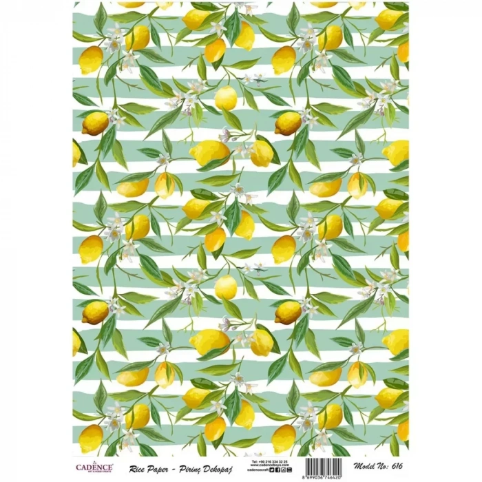 PİRİNÇ KAĞIT MODEL 616 30X42