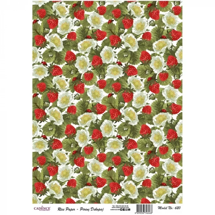 PİRİNÇ KAĞIT MODEL 620 30X42