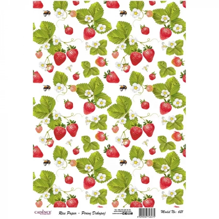 PİRİNÇ KAĞIT MODEL 621 30X42