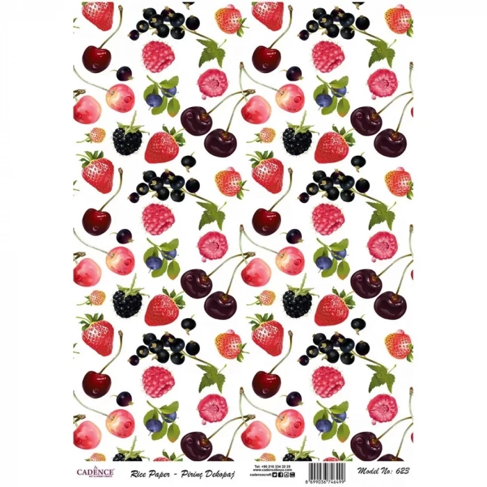 PİRİNÇ KAĞIT MODEL 623 30X42