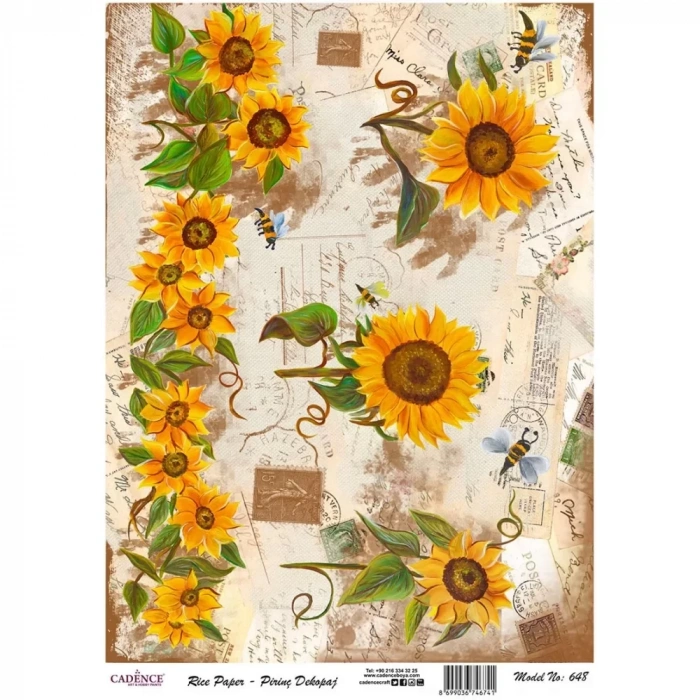 PİRİNÇ KAĞIT MODEL 648 30X42