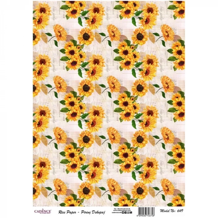 PİRİNÇ KAĞIT MODEL 649 30X42