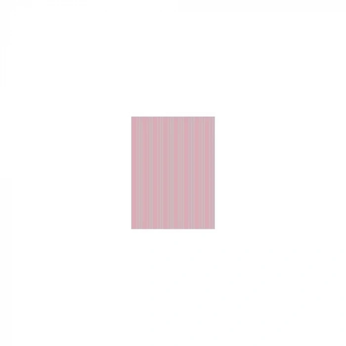 PİRİNÇ KAĞIT MODEL 91 30X42