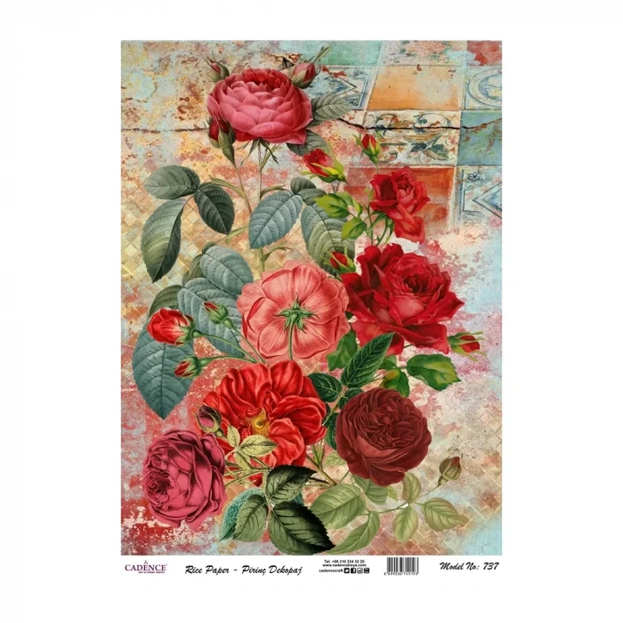 PİRİNÇ KAĞIT MODERN SERİ MODEL 737 30X42