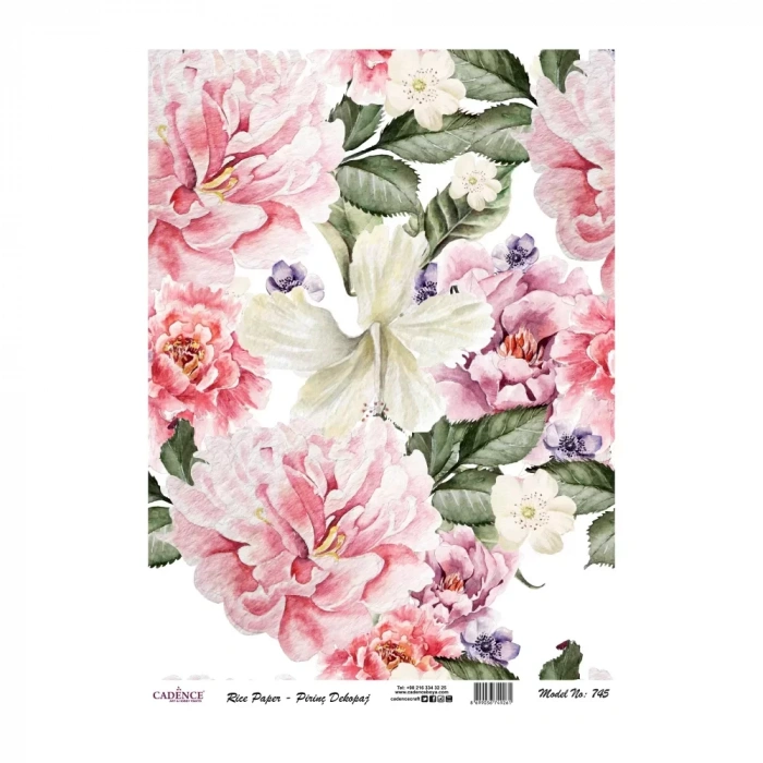 PİRİNÇ KAĞIT MODERN SERİ MODEL 745 30X42