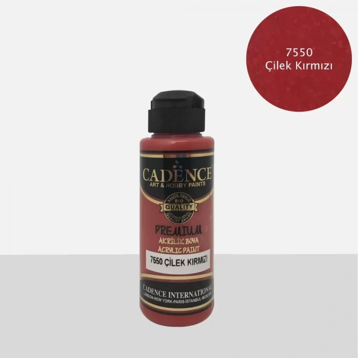 PREMIUM AKRİLİK BOYA 1154 KAŞMİR 250ML