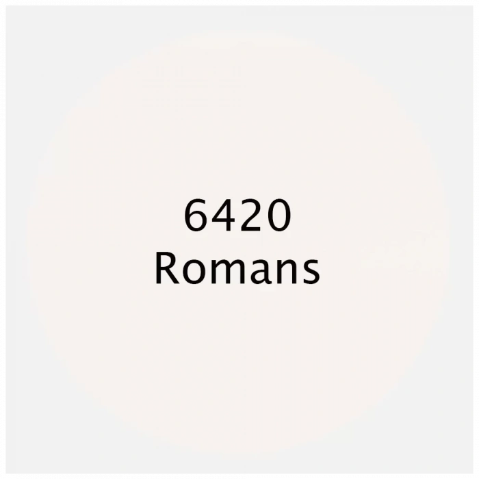 PREMIUM AKRİLİK BOYA 6420 ROMANS 500ML