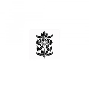 BN SERİSİ STENCIL BN09 25X36