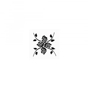 BN SERİSİ STENCIL BN36 25X36