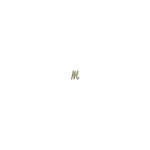 BOYUTLU BONCUK B. GLITTER 450 ALTIN 25ML