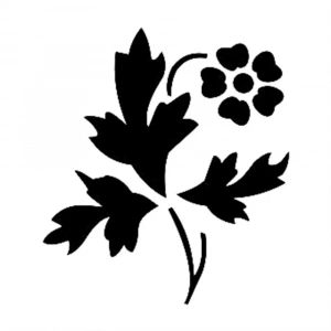 D SERİSİ STENCIL D1091 15X20