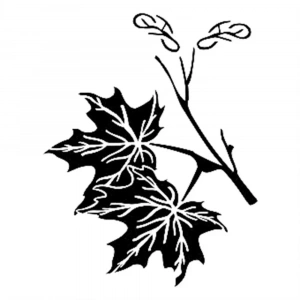 D SERİSİ STENCIL D240 15X20