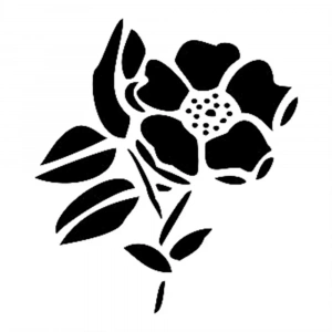 D SERİSİ STENCIL D364 15X20