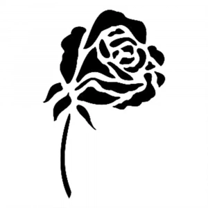 D SERİSİ STENCIL D389 15X20