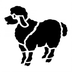 D SERİSİ STENCIL D407 15X20